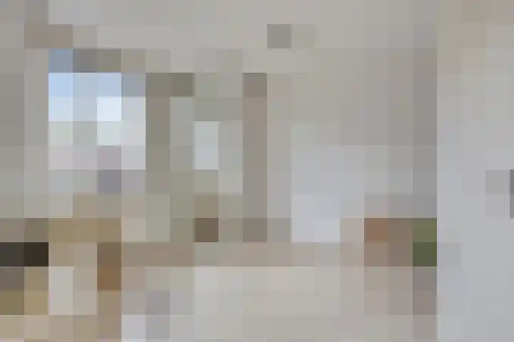 Wessex 9 Hengelo thumbnail 26