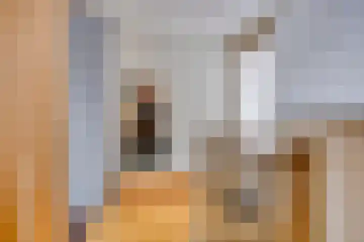 Wessex 9 Hengelo thumbnail 27