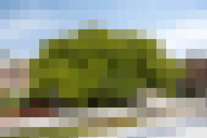 Wessex 9 Hengelo thumbnail 31