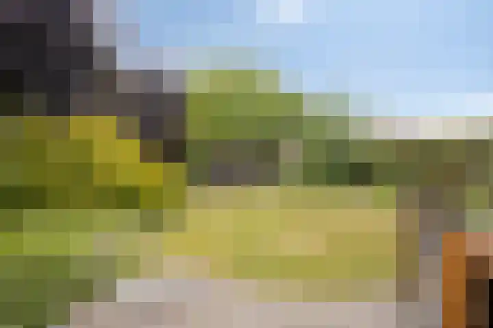 Wessex 9 Hengelo thumbnail 32