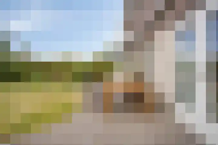 Wessex 9 Hengelo thumbnail 33