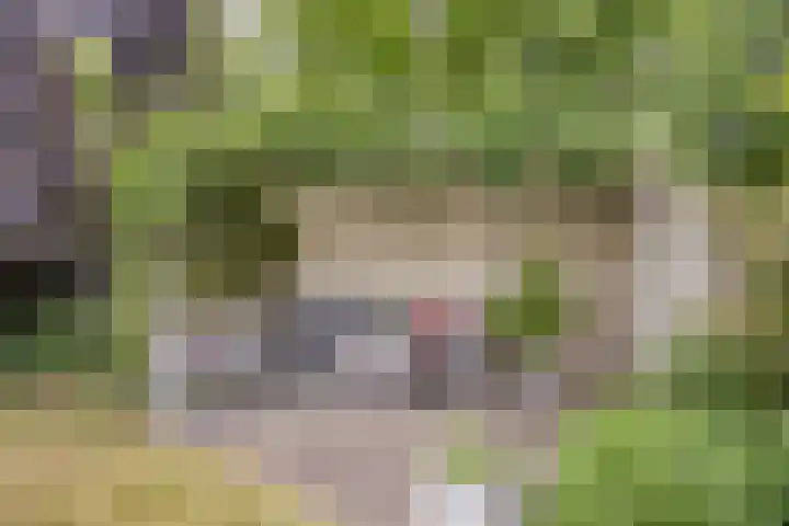 Wessex 9 Hengelo thumbnail 34