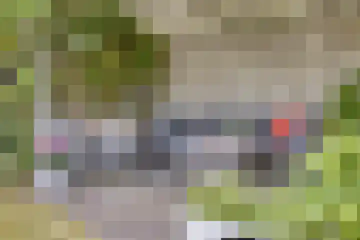 Wessex 9 Hengelo thumbnail 35