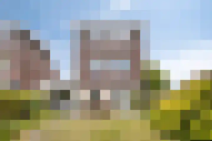 Wessex 9 Hengelo thumbnail 36