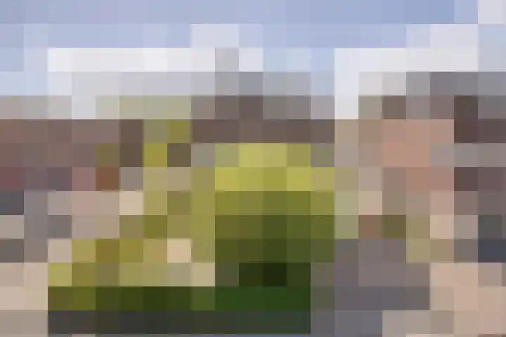 Wessex 9 Hengelo thumbnail 37