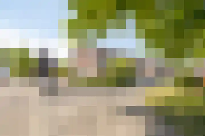 Wessex 9 Hengelo thumbnail 39