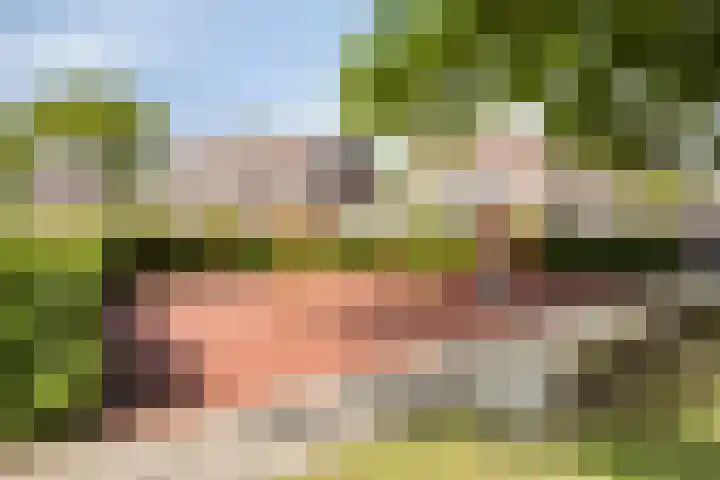 Wessex 9 Hengelo thumbnail 40