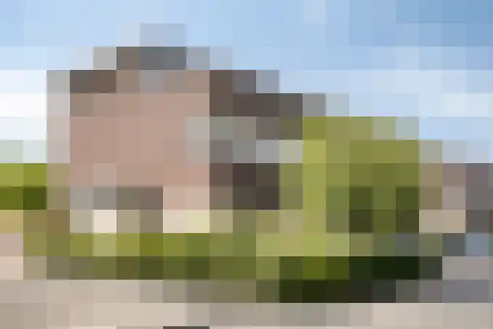 Wessex 9 Hengelo thumbnail 6