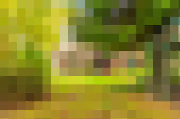 Wessinghuizerweg 13 Onstwedde thumbnail 10