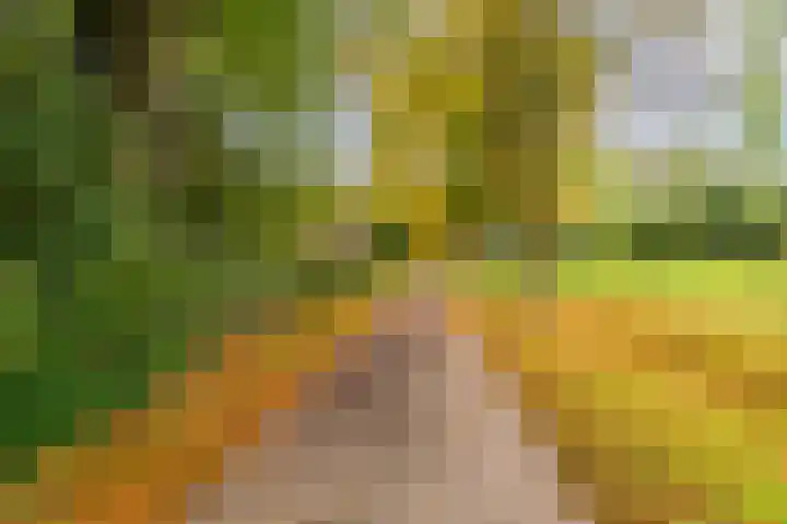 Wessinghuizerweg 13 Onstwedde thumbnail 11