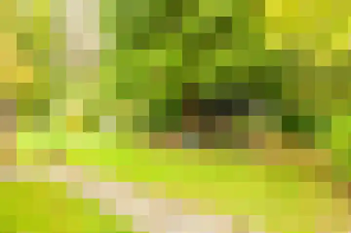 Wessinghuizerweg 13 Onstwedde thumbnail 12