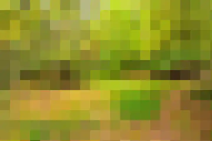 Wessinghuizerweg 13 Onstwedde thumbnail 13