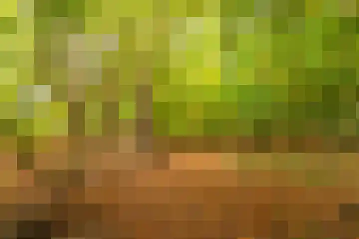 Wessinghuizerweg 13 Onstwedde thumbnail 14