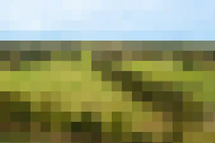 Wessinghuizerweg 13 Onstwedde thumbnail 15