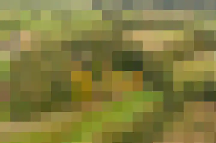 Wessinghuizerweg 13 Onstwedde thumbnail 16