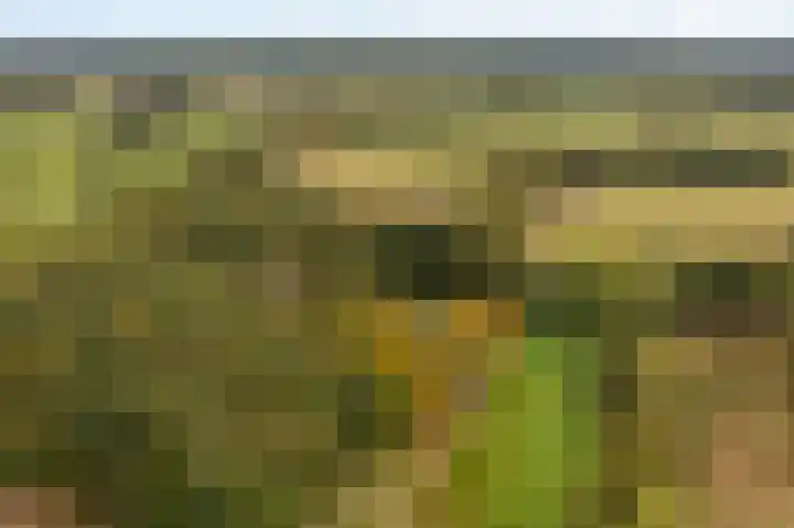 Wessinghuizerweg 13 Onstwedde thumbnail 17