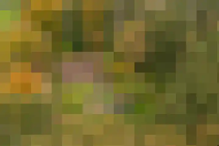 Wessinghuizerweg 13 Onstwedde thumbnail 18