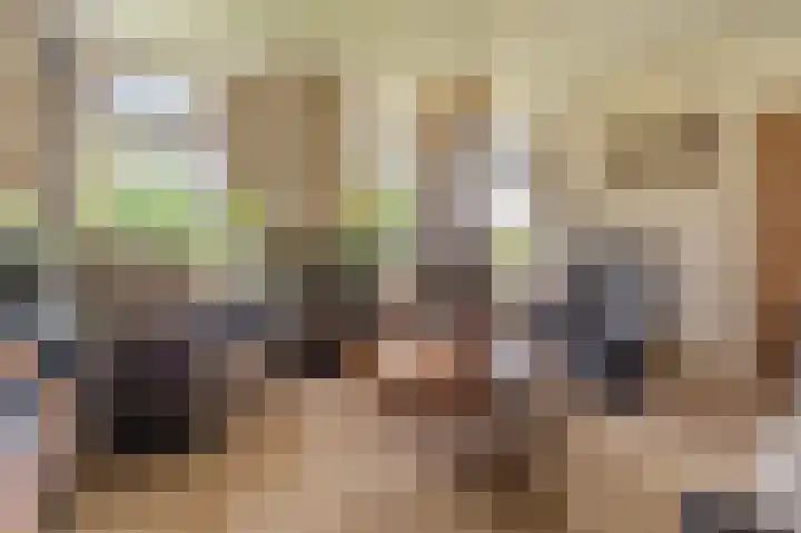Wessinghuizerweg 13 Onstwedde thumbnail 20