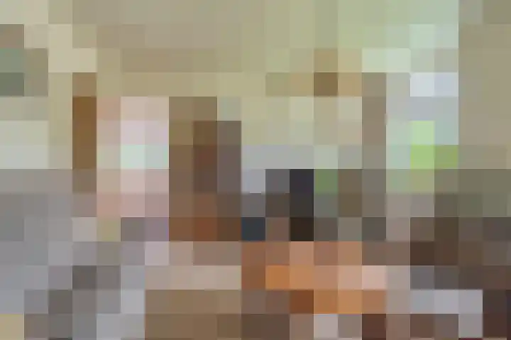 Wessinghuizerweg 13 Onstwedde thumbnail 21