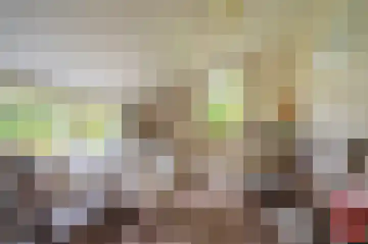 Wessinghuizerweg 13 Onstwedde thumbnail 24