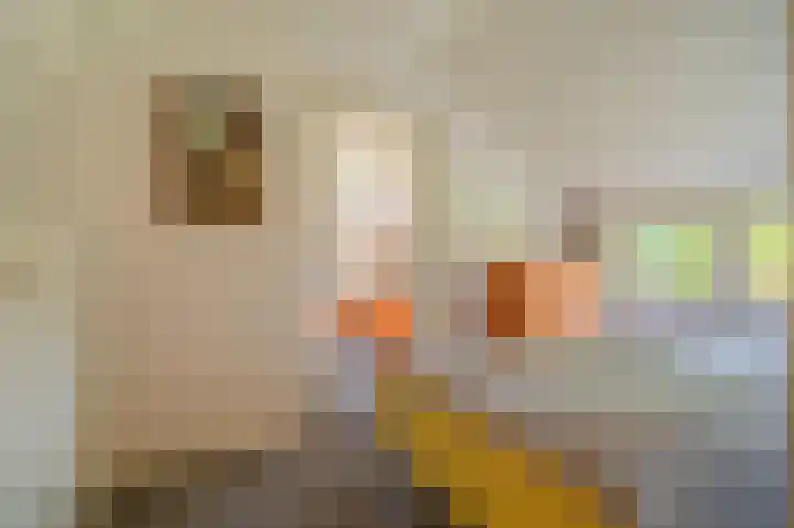 Wessinghuizerweg 13 Onstwedde thumbnail 28