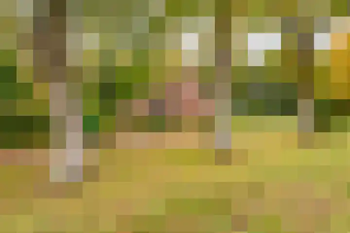 Wessinghuizerweg 13 Onstwedde thumbnail 4
