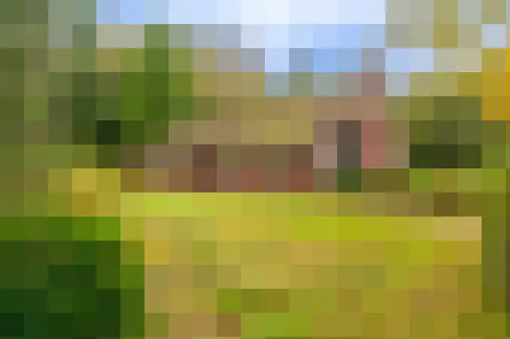 Wessinghuizerweg 13 Onstwedde thumbnail 5