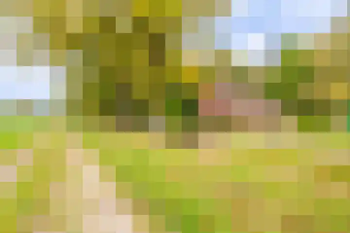 Wessinghuizerweg 13 Onstwedde thumbnail 6