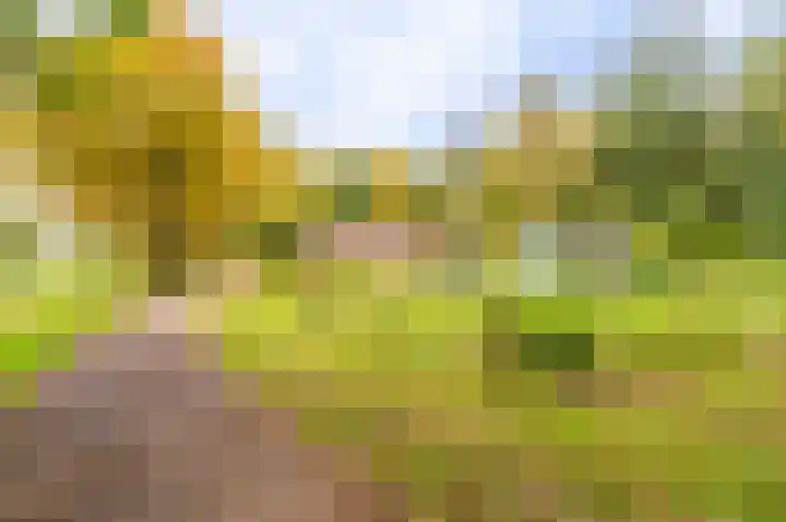 Wessinghuizerweg 13 Onstwedde thumbnail 7