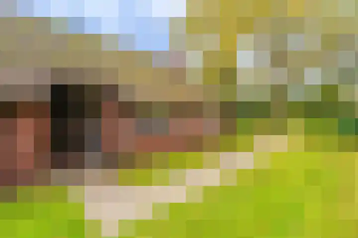 Wessinghuizerweg 13 Onstwedde thumbnail 8