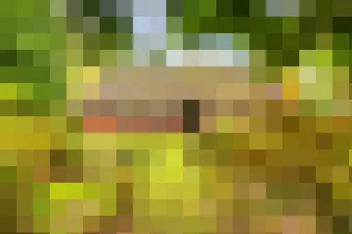 Wessinghuizerweg 13 Onstwedde thumbnail 9
