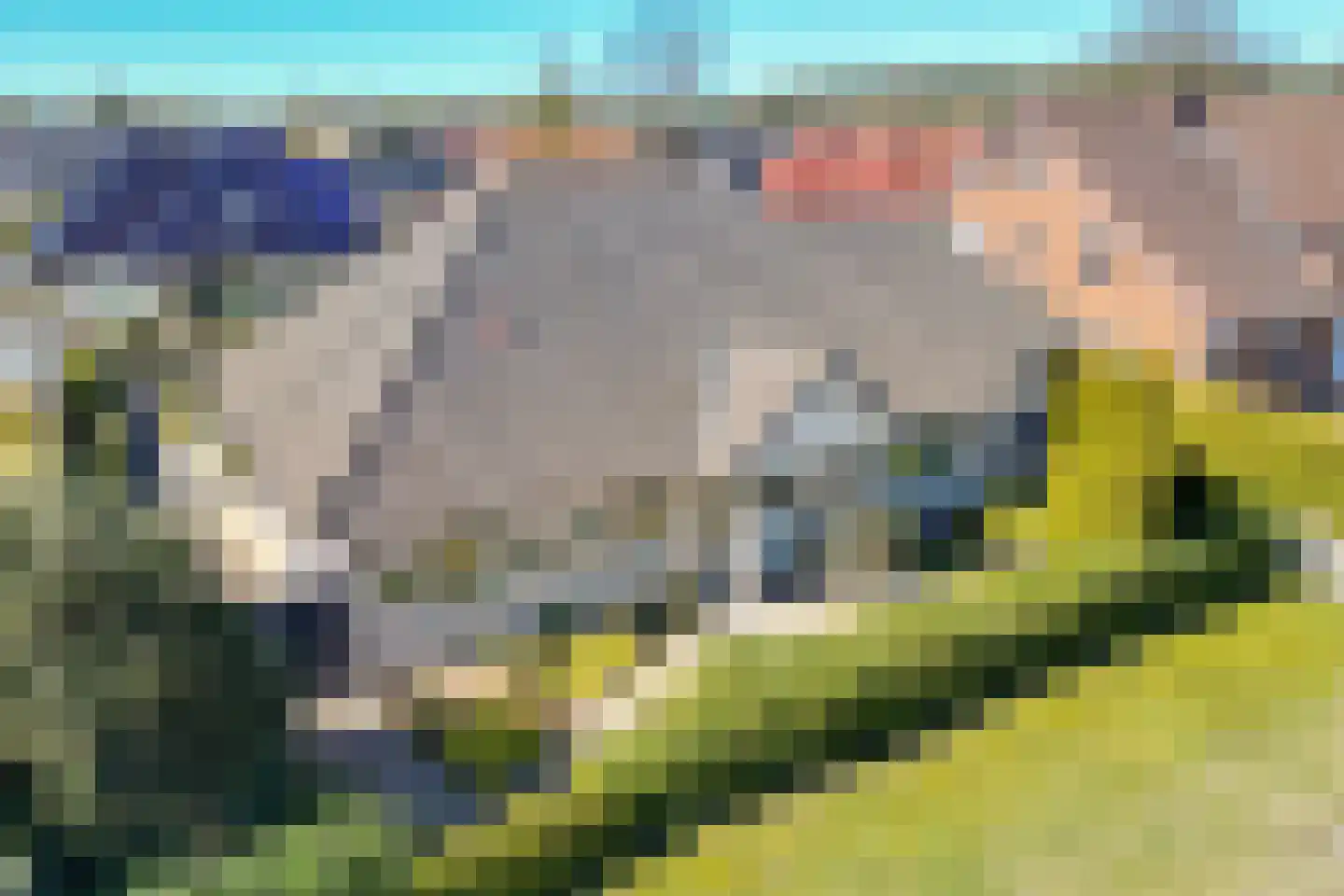 Wessingtange 6 Sellingen foto 3