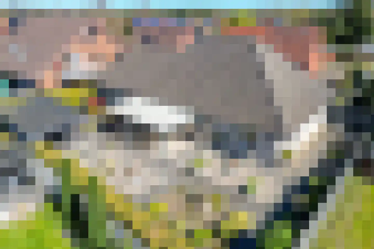 Wessingtange 6 Sellingen thumbnail 4