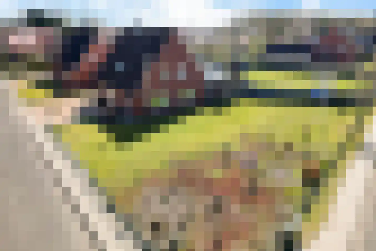 Wessingtange 6 Sellingen thumbnail 41