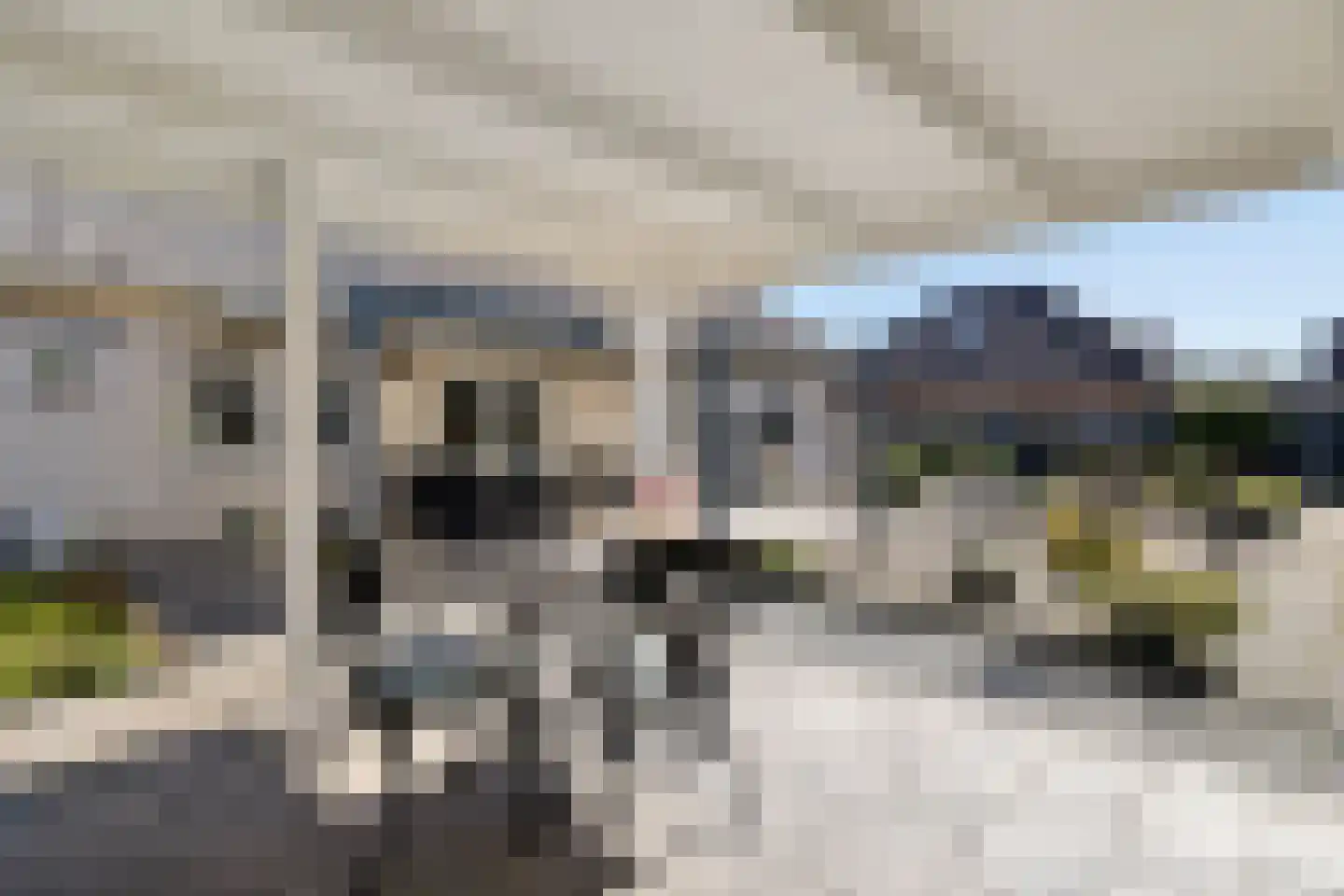 Wessingtange 6 Sellingen thumbnail 44