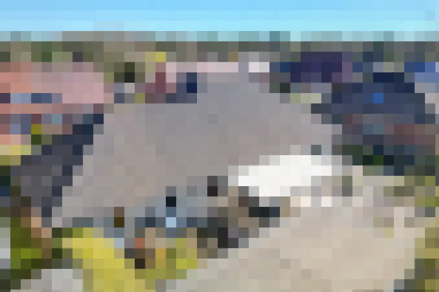Wessingtange 6 Sellingen thumbnail 5