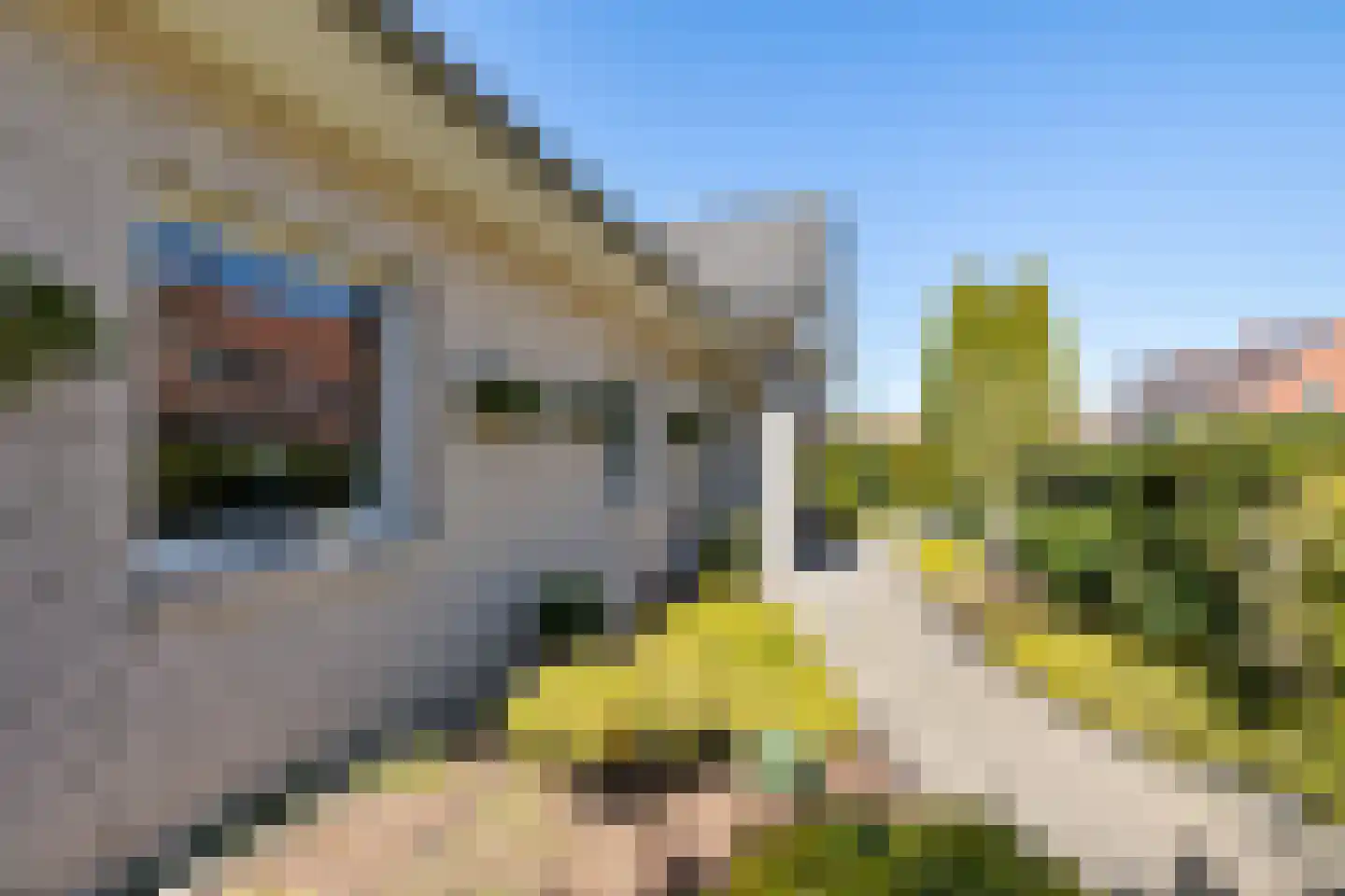 Wessingtange 6 Sellingen thumbnail 6