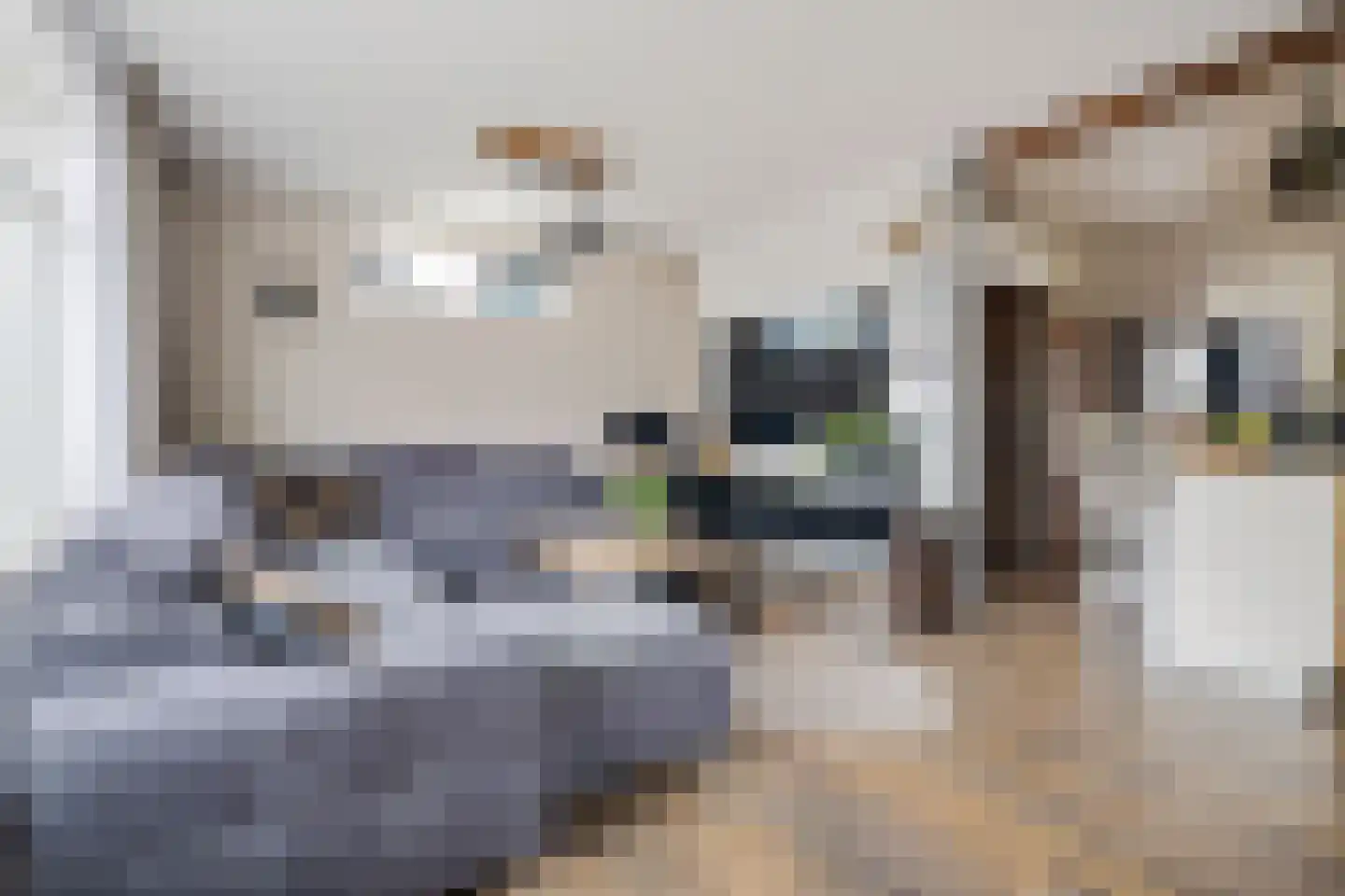 West 102 Avenhorn thumbnail 15