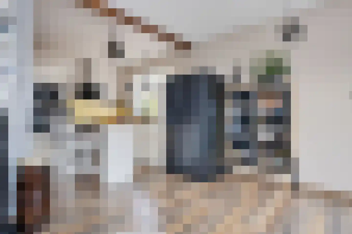 West 102 Avenhorn thumbnail 19