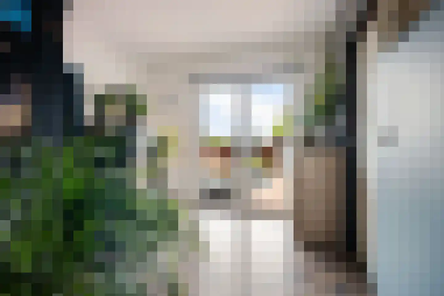 West 102 Avenhorn thumbnail 22