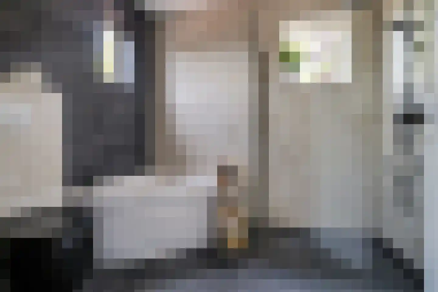 West 102 Avenhorn thumbnail 23