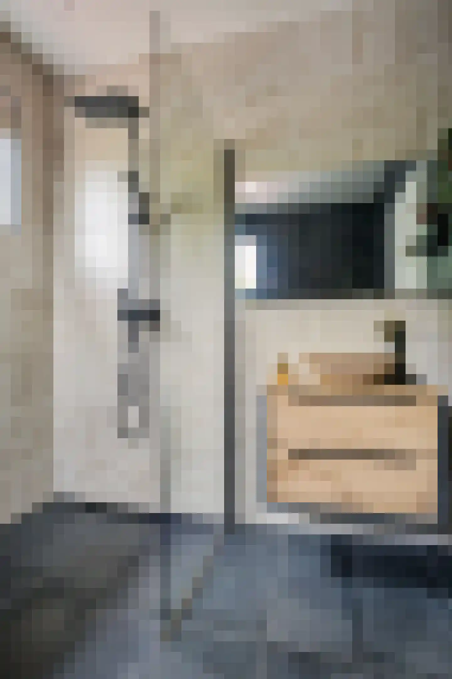West 102 Avenhorn thumbnail 25