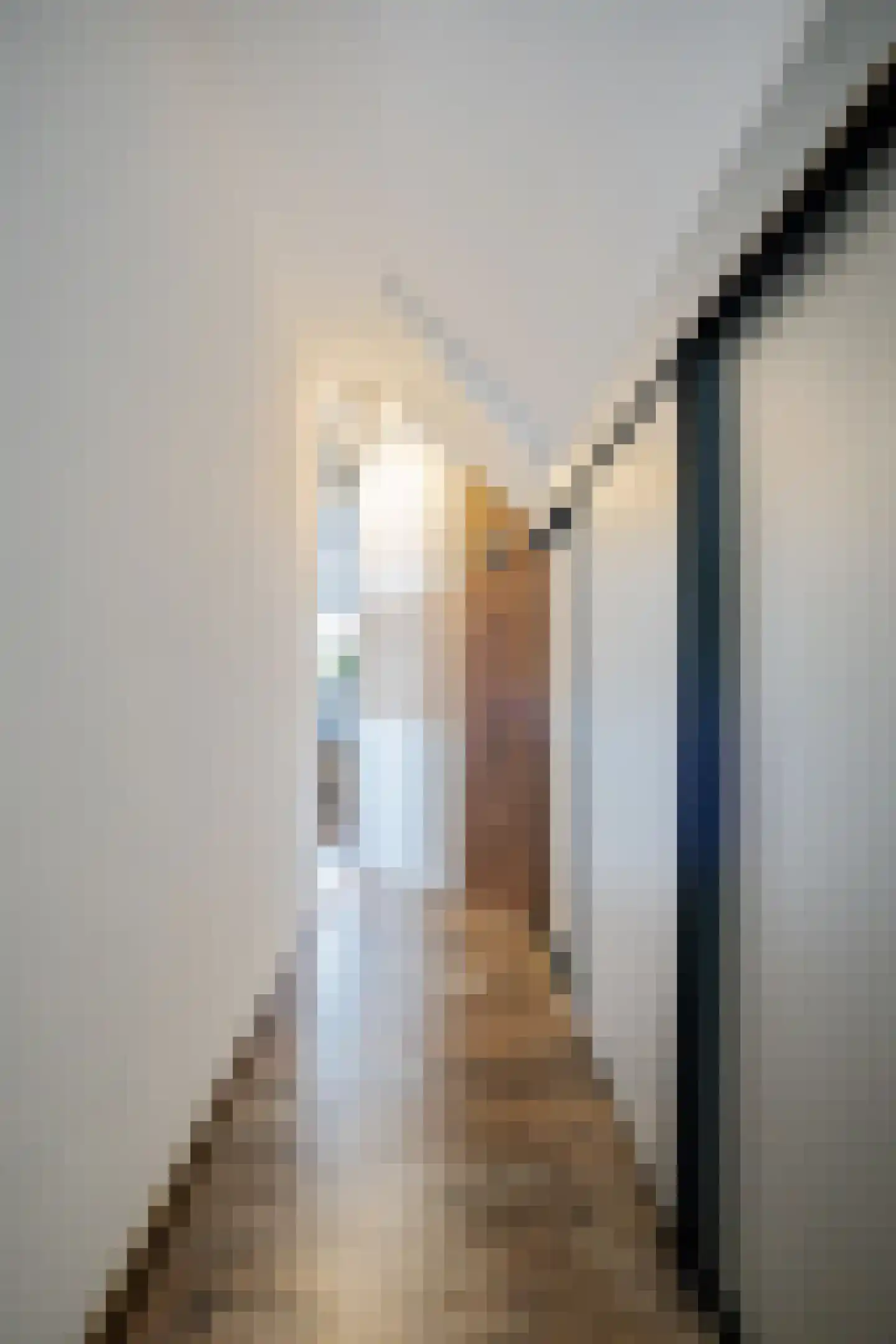 West 102 Avenhorn thumbnail 33