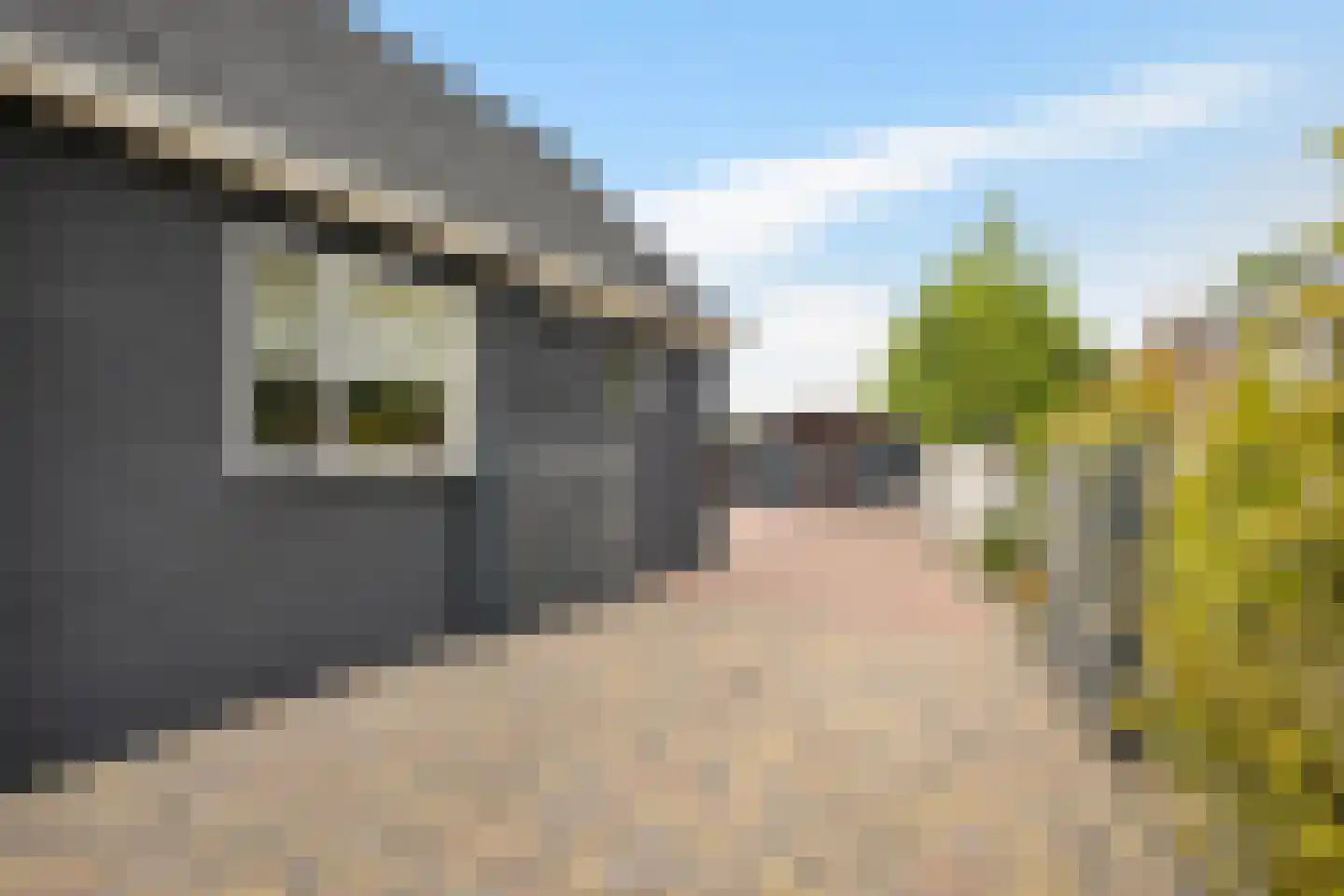 West 102 Avenhorn thumbnail 41