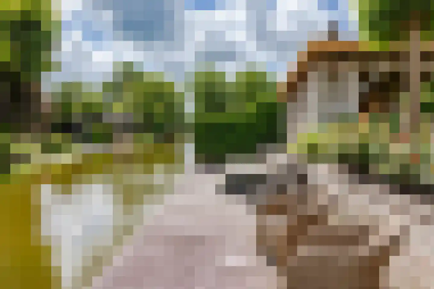 West 16 Avenhorn thumbnail 33