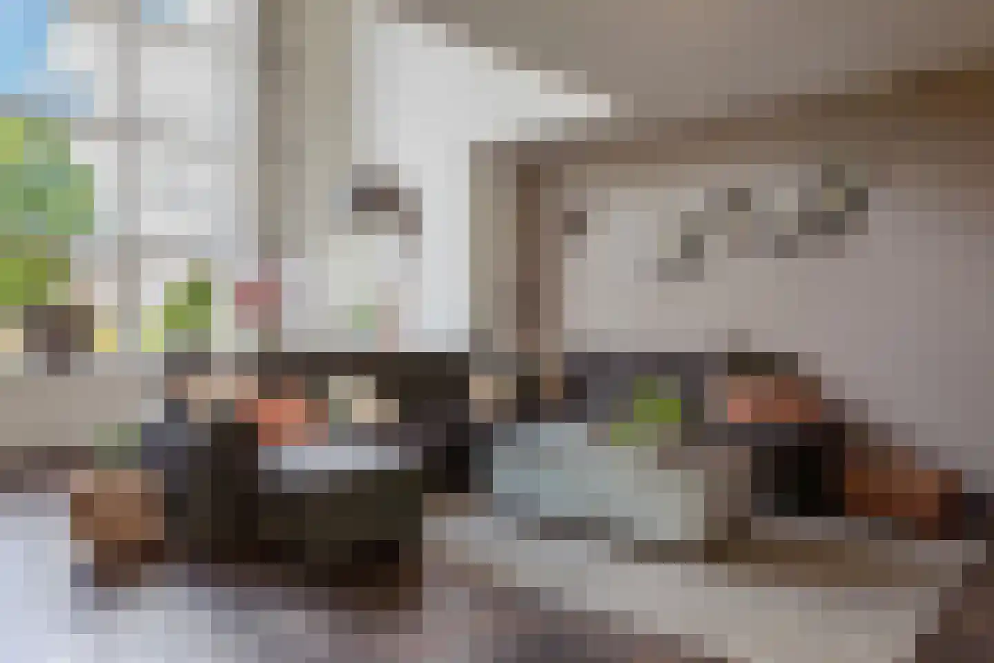 West 16 Avenhorn thumbnail 7