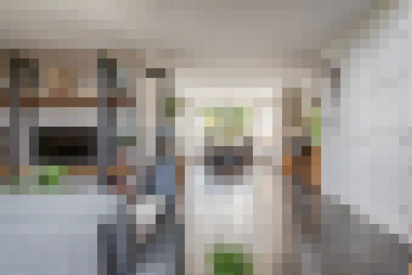 West 16 Avenhorn thumbnail 8