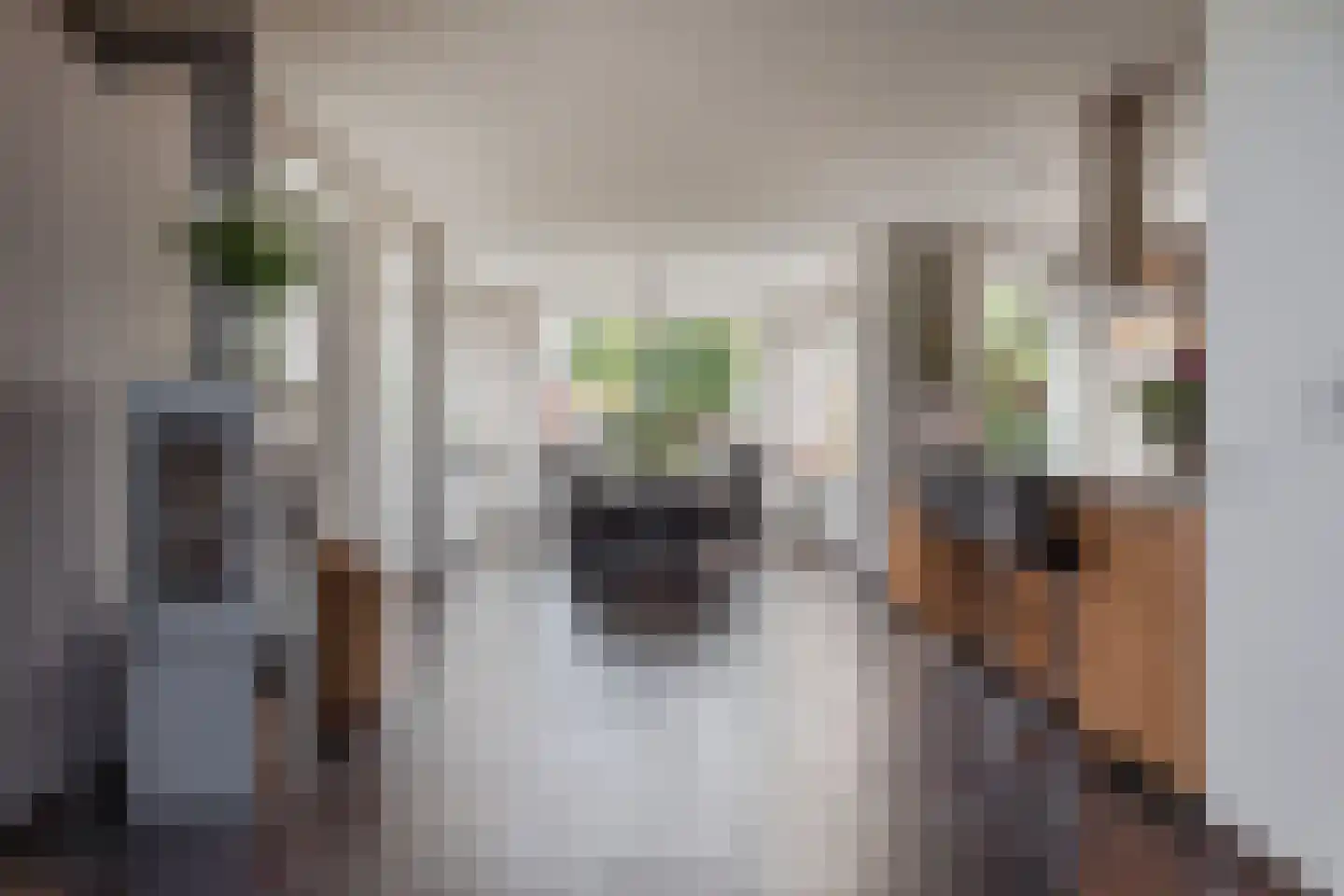 West 16 Avenhorn thumbnail 9