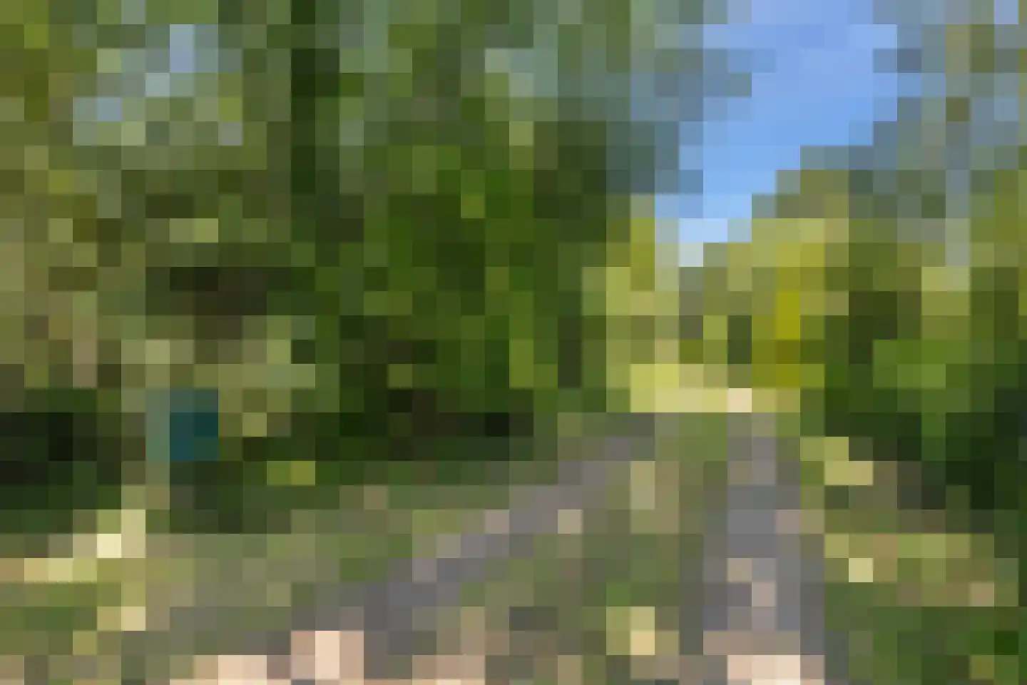 West 20 Buitenpost thumbnail 11