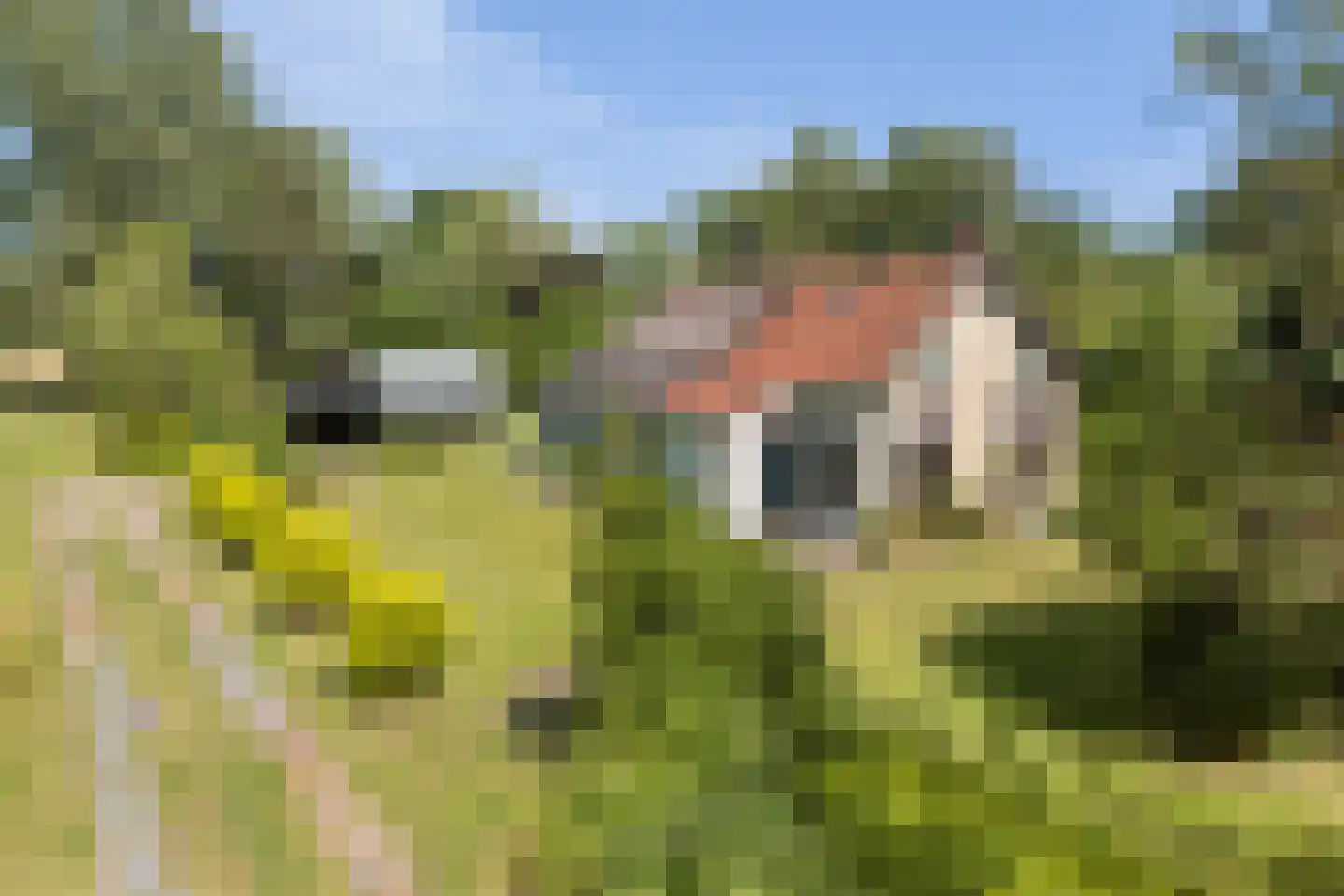 West 20 Buitenpost thumbnail 12